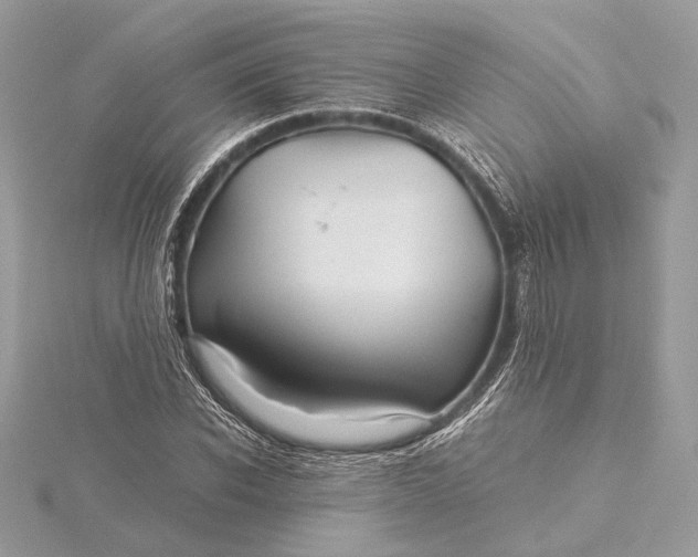 X0000116000926200912031505