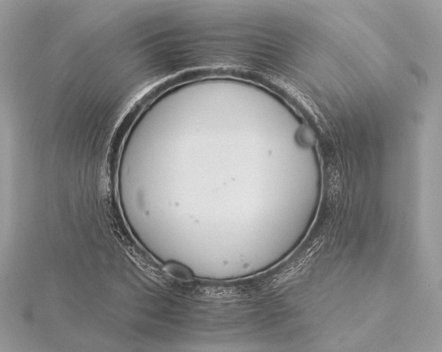 X0000116000927200912031506