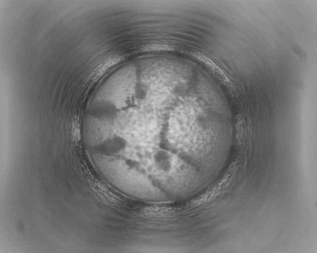 X0000116000929200912031506