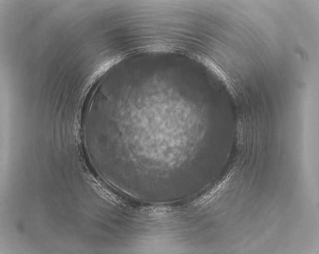 X0000116000930200912031506