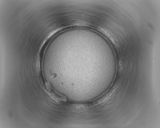 X0000116000931200912031506