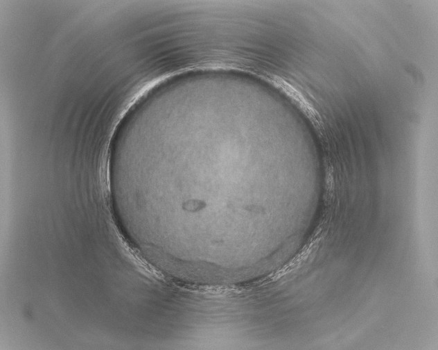 X0000116000934200912031506