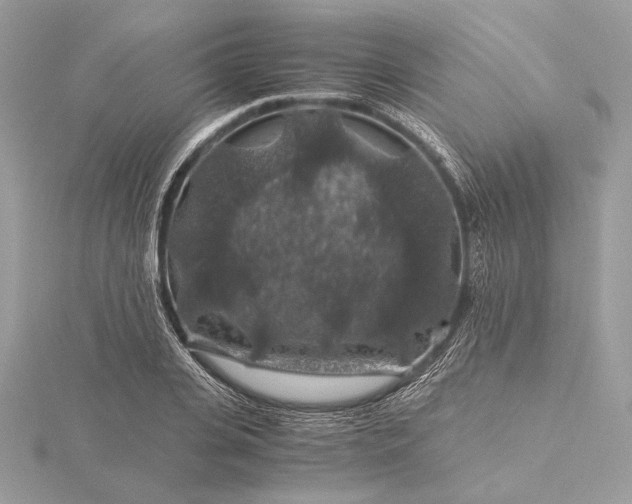 X0000116000935200912031506