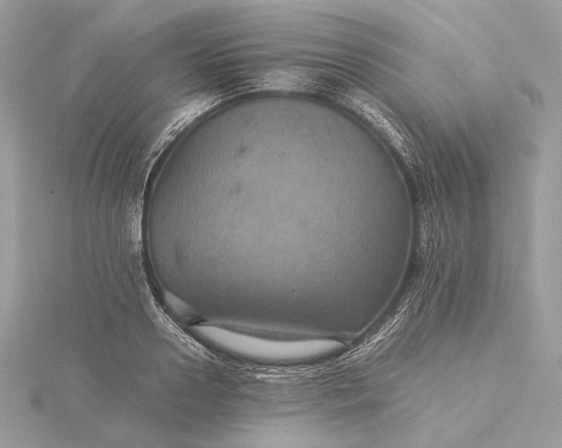 X0000116000938200912031506