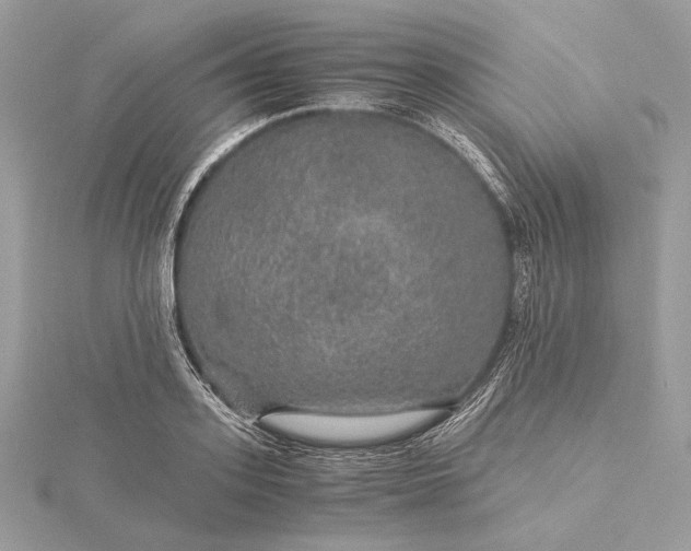 X0000116000939200912031506