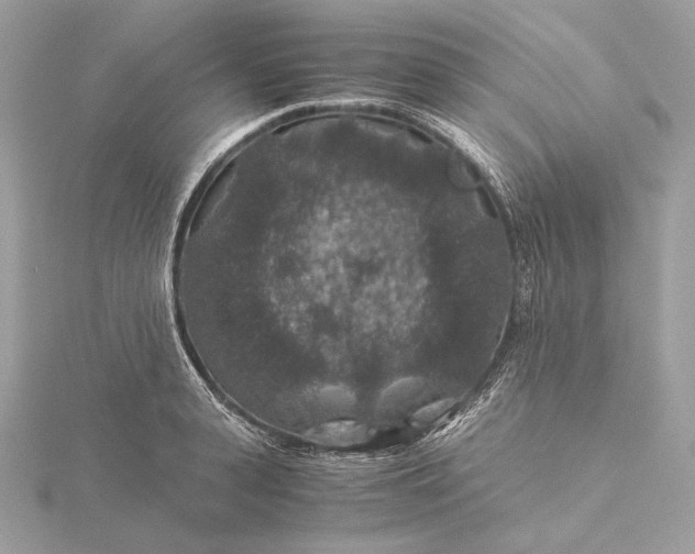 X0000116000943200912031506