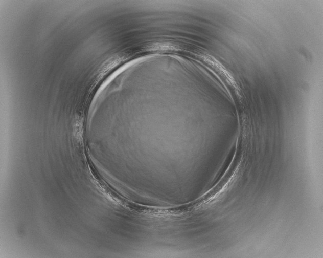 X0000116000945200912031506