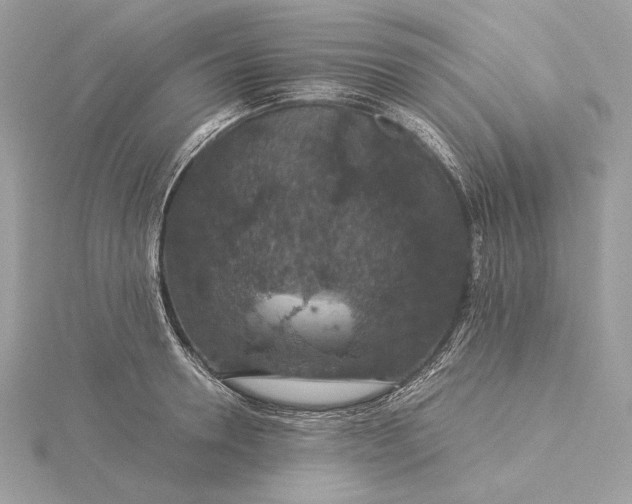 X0000116000946200912031506