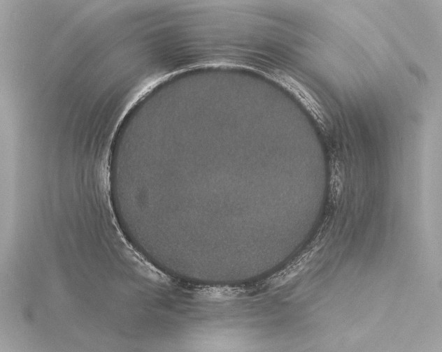 X0000116000950200912031506