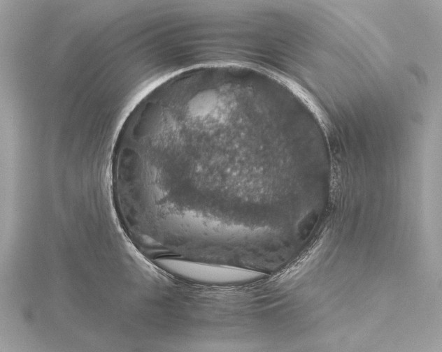 X0000116000951200912031506