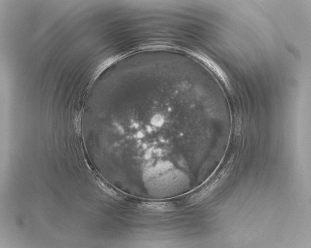 X0000116000953200912031506