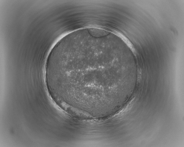 X0000116000955200912031506