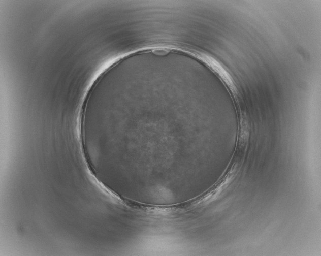 X0000116000958200912031506