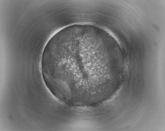 X0000116000959200912031506