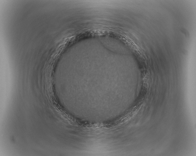 X0000116000961200912031505