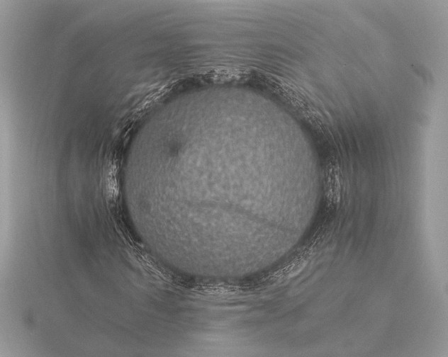 X0000116000962200912031505