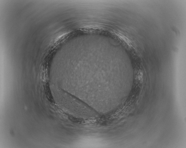 X0000116000965200912031505