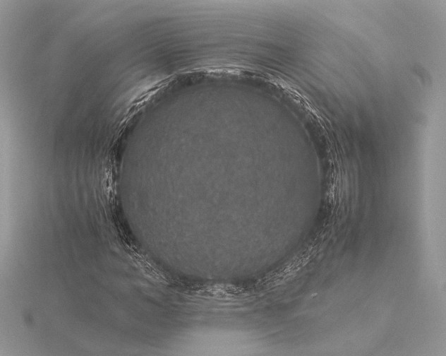 X0000116000966200912031505