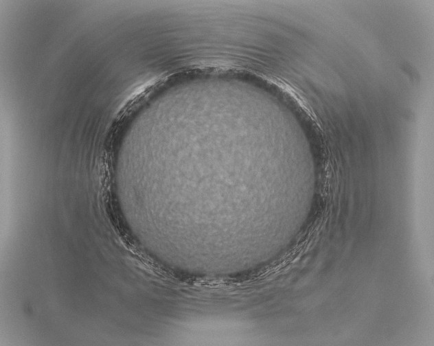 X0000116000967200912031505