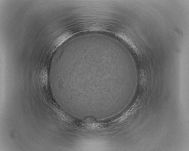 X0000116000969200912031505