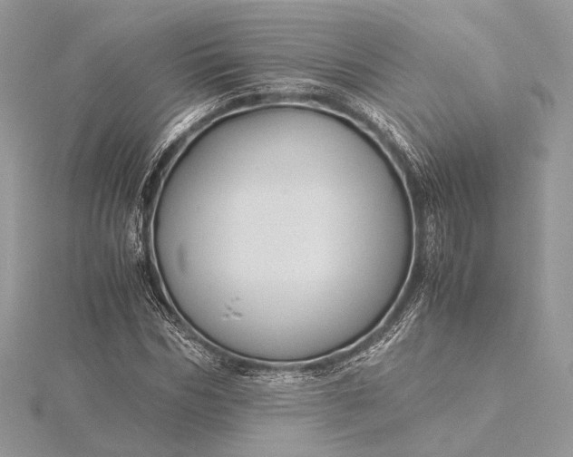 X0000116000970200912031505