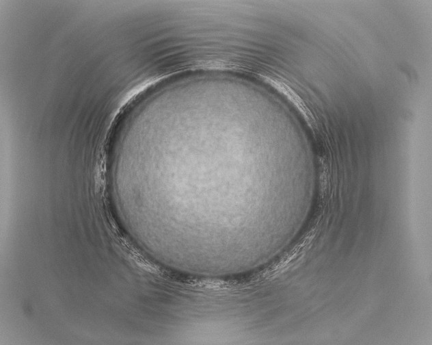 X0000116000971200912031505