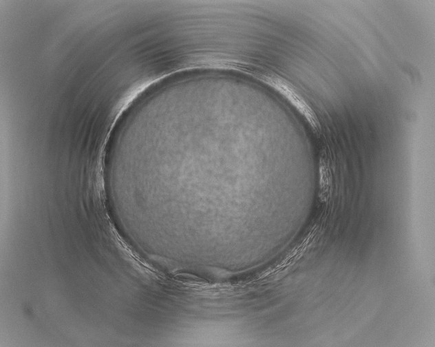 X0000116000972200912031505