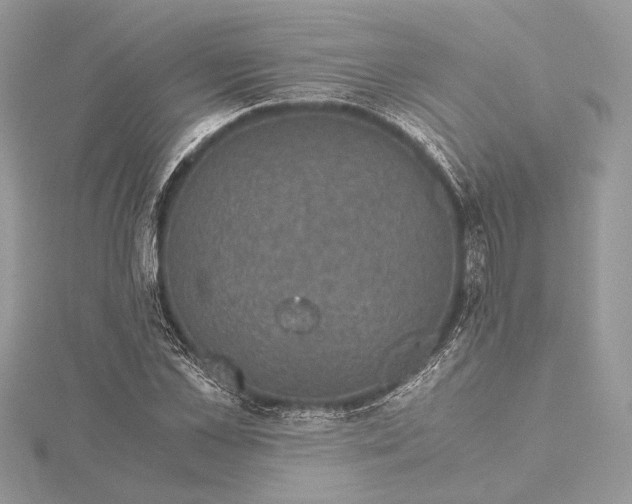 X0000116000973200912031505