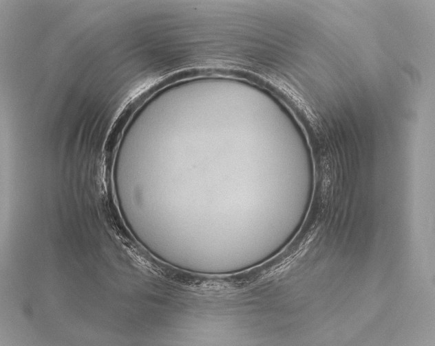 X0000116000974200912031505