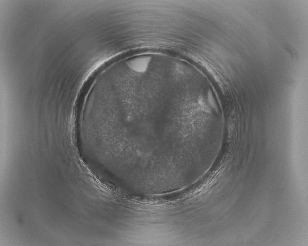 X0000116000975200912031505