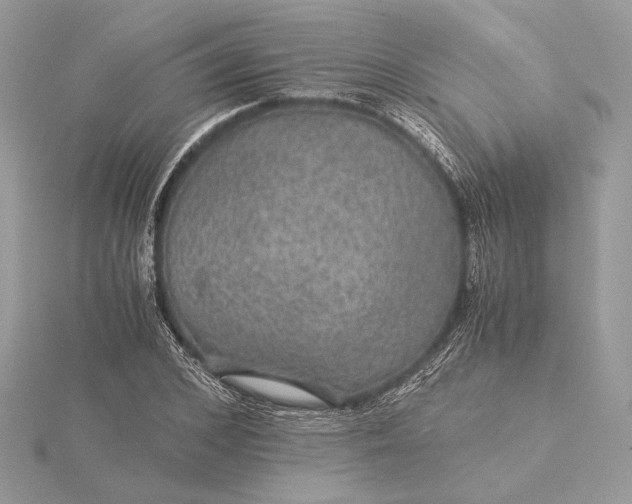 X0000116000976200912031505