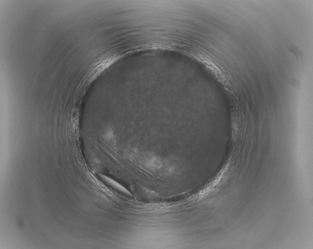 X0000116000977200912031505