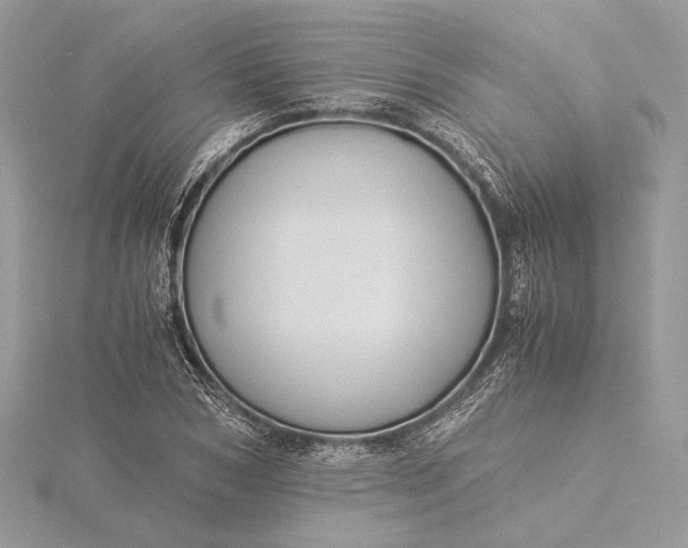 X0000116000978200912031505