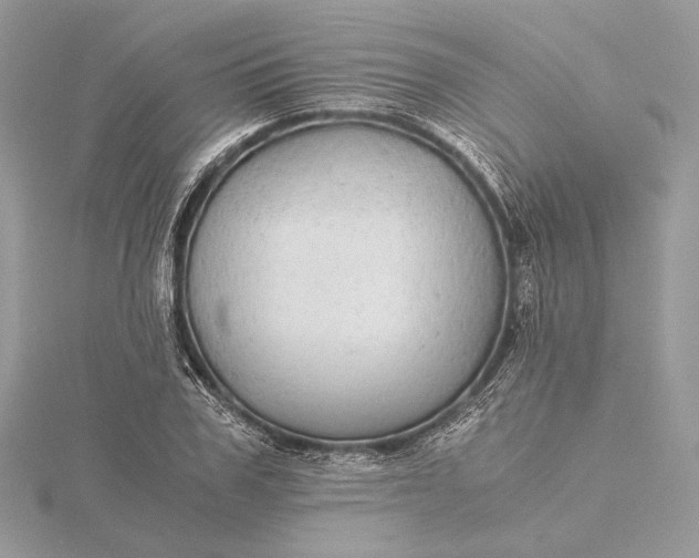 X0000116000979200912031505