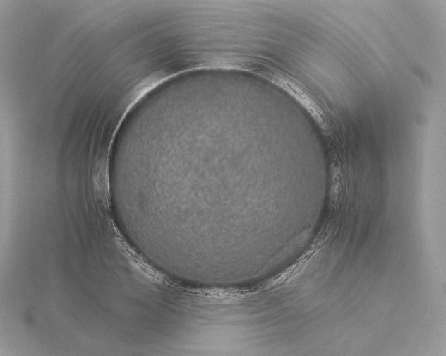 X0000116000980200912031505