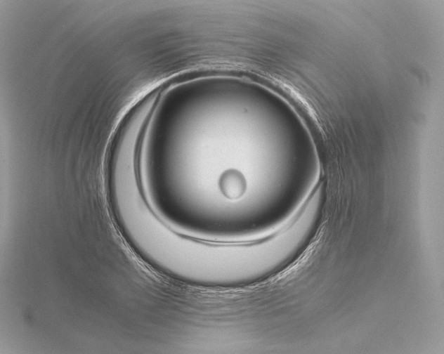 X0000116000981200912031505