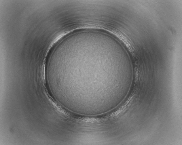 X0000116000982200912031505