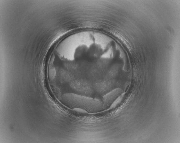 X0000116000983200912031505