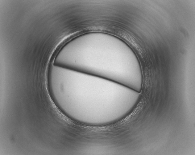 X0000116000984200912031505