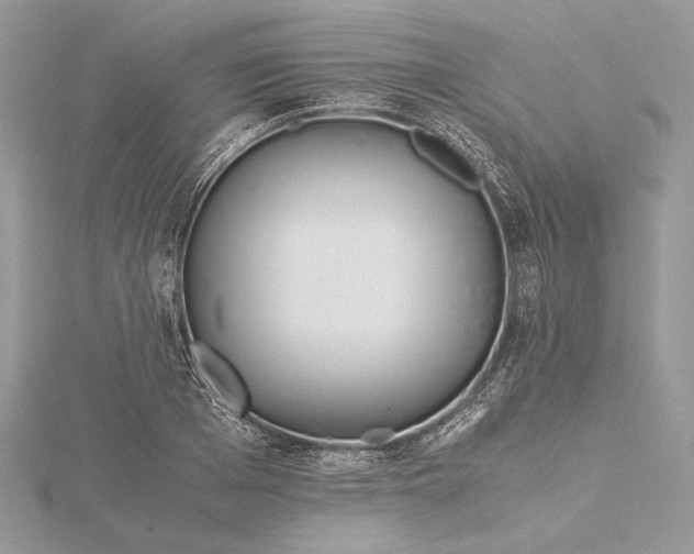 X0000116000985200912031505