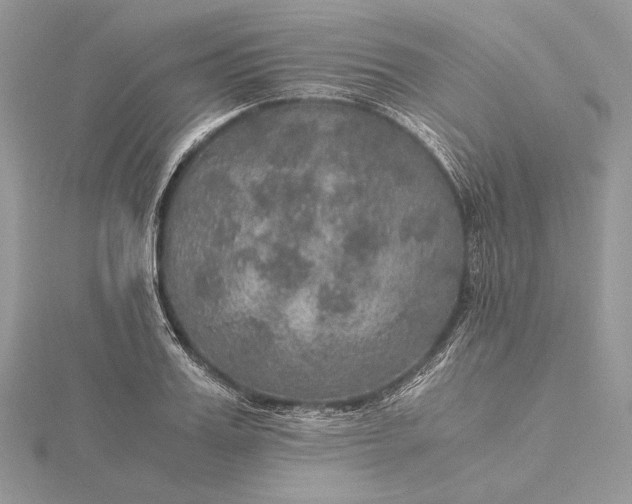 X0000116000987200912031505