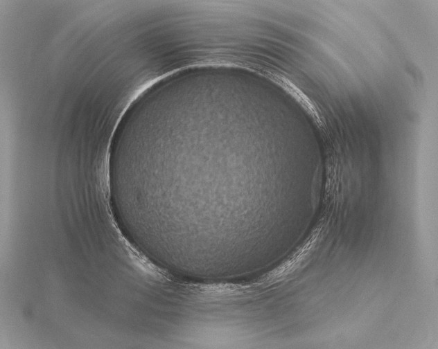 X0000116000988200912031505