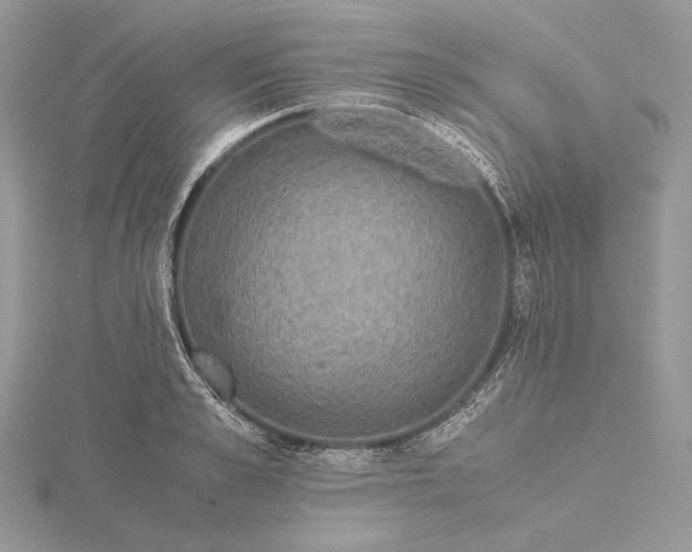 X0000116000989200912031505