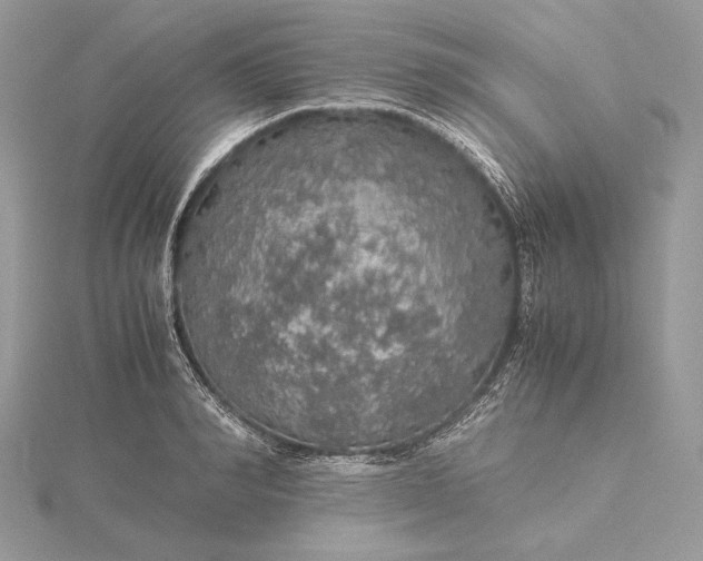 X0000116000990200912031505