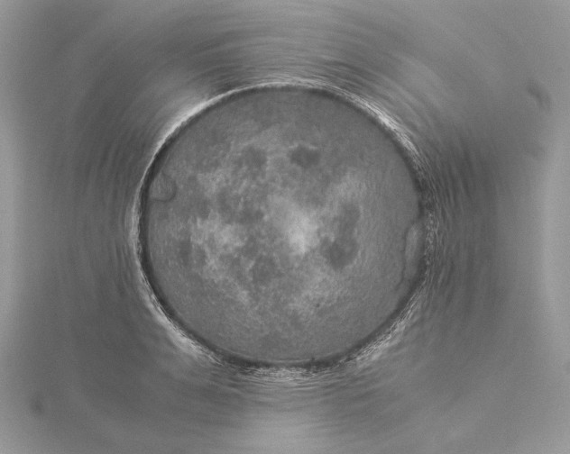 X0000116000991200912031505