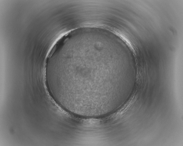 X0000116000992200912031505