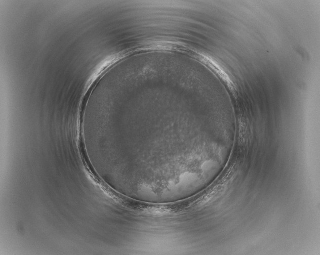 X0000116000994200912031505