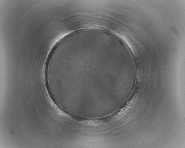 X0000116000995200912031505