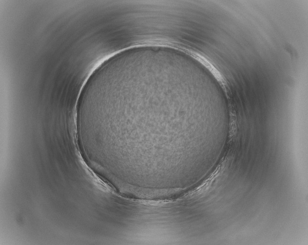 X0000116000996200912031505