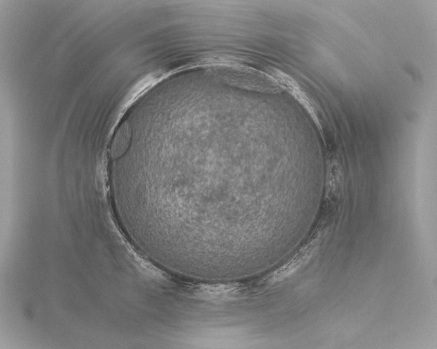 X0000116000997200912031505